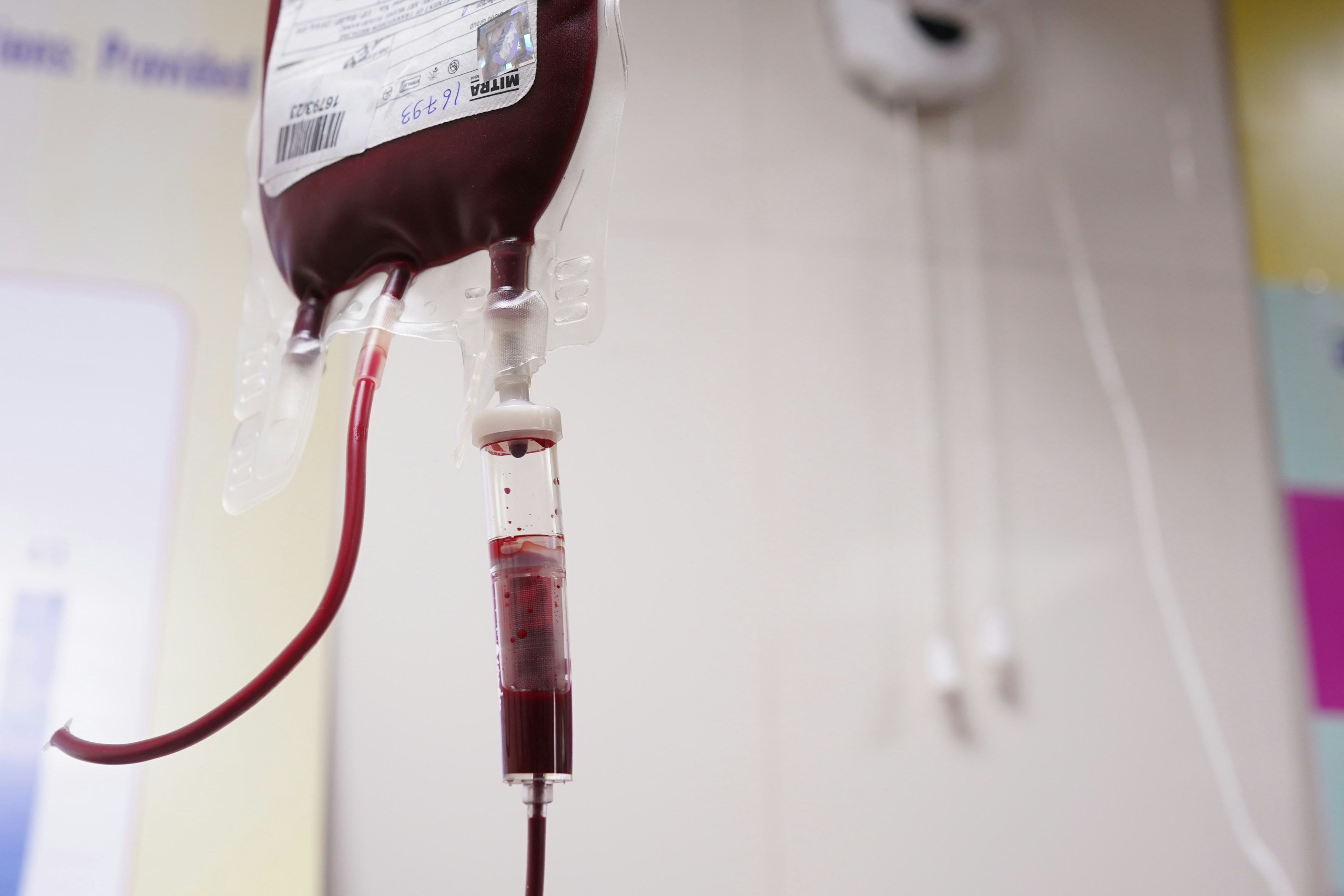Blood Group Detection